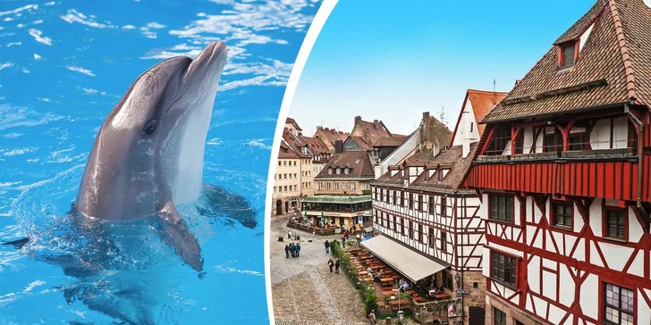 Jeden den v Norimberku a v místní ZOO s delfináriem