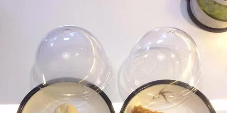 Running sushi: 2 hodiny neomezeného hodování pro 1 nebo 2 osoby