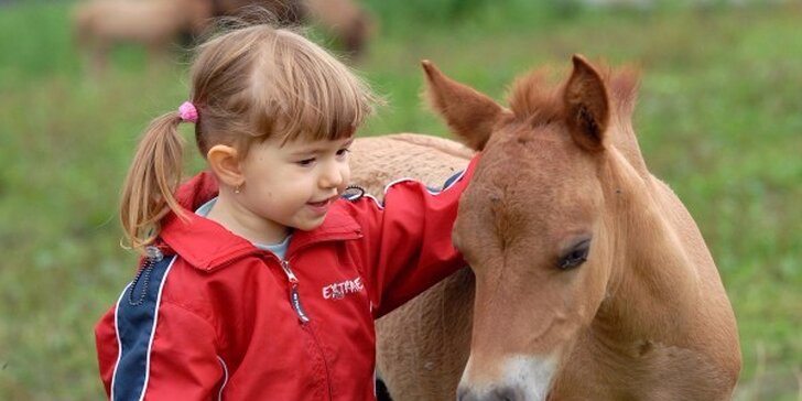 Zážitkový pobyt na Farmě Blaník s programem pro děti, zvířátky a wellness