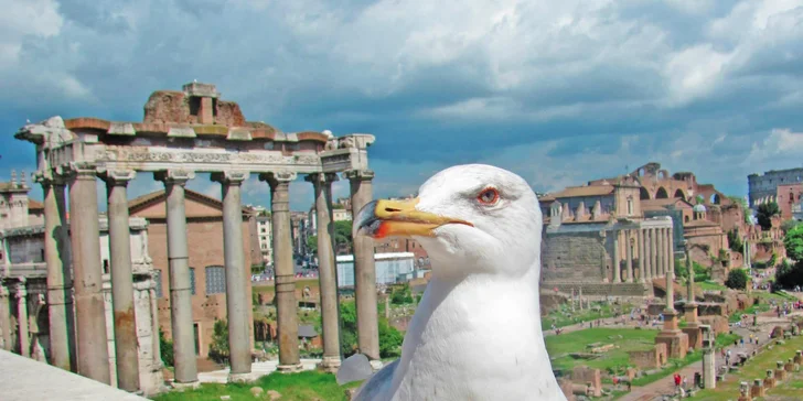 Řím, Neapol, Vesuv, Pompeje i Capri vč. dopravy a noclehů v hotelu se snídaní
