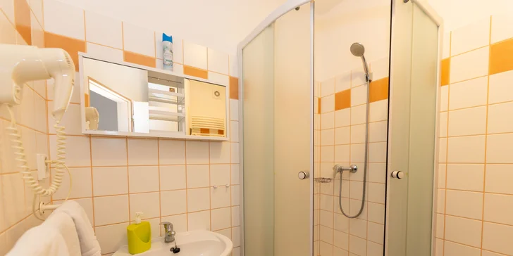 K apartmánu patří vlastní koupelna.