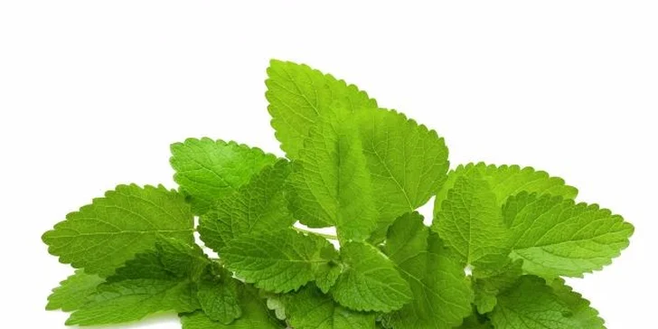 Vychutnejte si relaxační meduňkovou masáž se zábalem