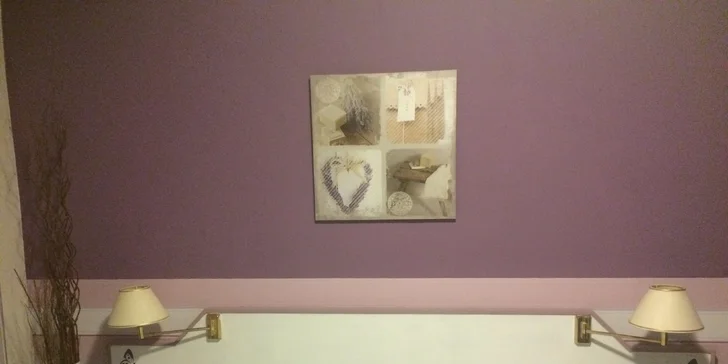 Jarní pobyt s vínem i možností výletu do Vídně pro dvě osoby