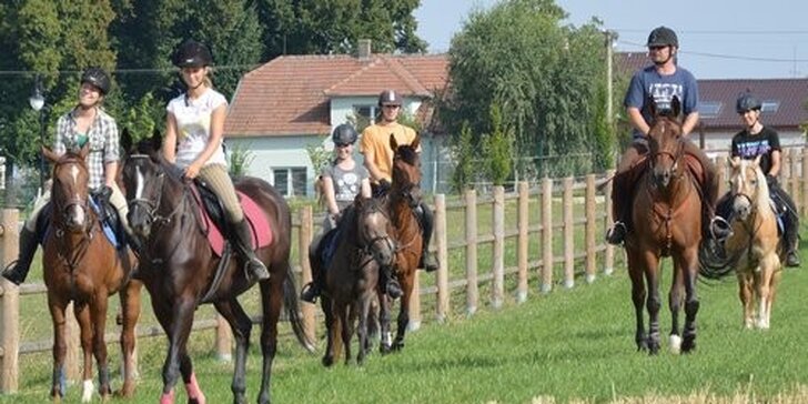 Odpočinek ve společnosti koní na Hanáckém dvoře u Olomouce
