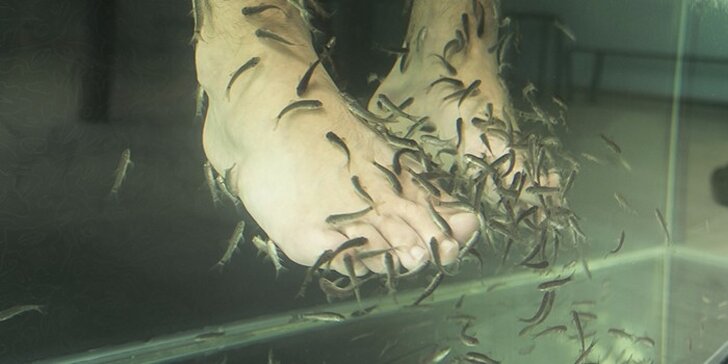 Masáž nohou s rybičkami Garra Rufa pro 1 nebo 2 osoby