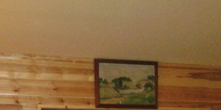 Dva poctivé domácí burgery se slaninou, hranolky a BBQ dresink