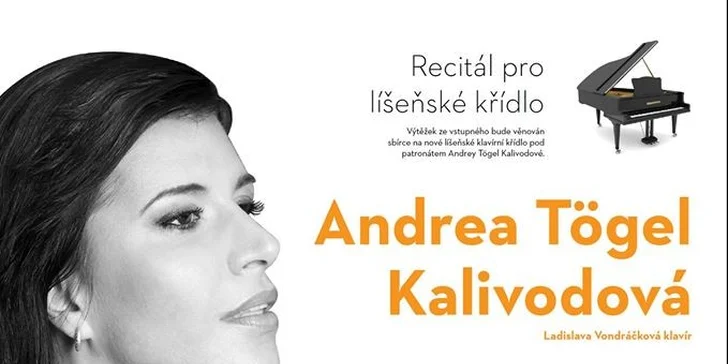 Vstupenka na koncert Andrey Tögel Kalivodové