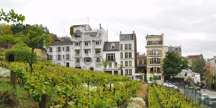 6denní Paříž a velkolepá sídla francouzských panovníků: 3x ubytování se snídaní