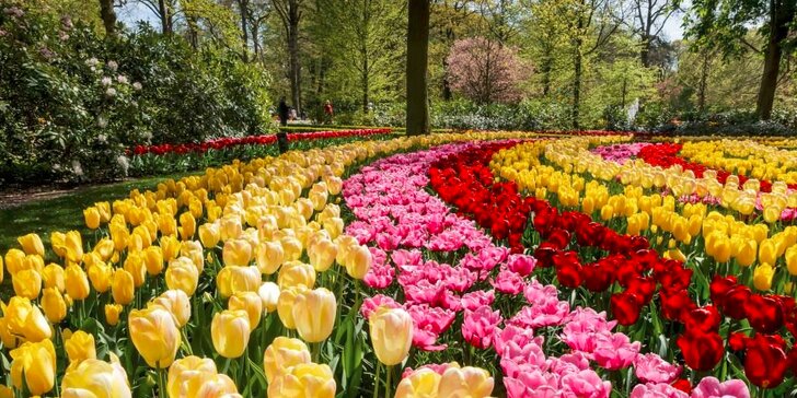 Výlet do Amsterdamu s návštěvou květinového parku Keukenhof