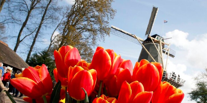 Výlet do Amsterdamu s návštěvou květinového parku Keukenhof