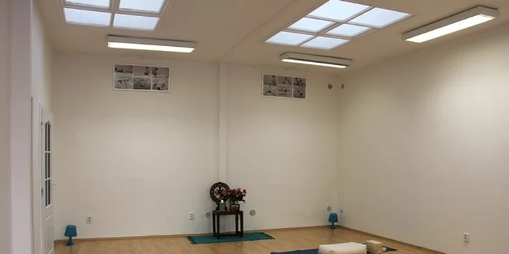 Lekce nebo dvouměsíční kurzy jógy vedené v ČJ či AJ