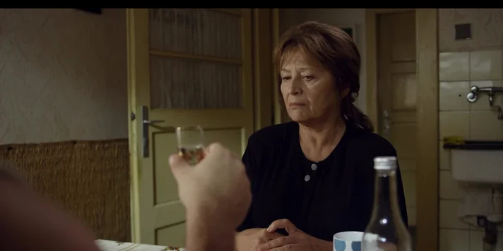 2 vstupenky na vybraný film promítaný na festivalu Dny evropského filmu