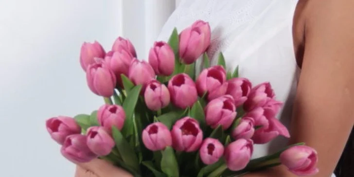 Jarní pugét 15 holandských tulipánů – 5 barev na výběr