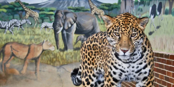 Vstupenky do hodonínské zoo: rodinné lupeny i lístky pro jednotlivce