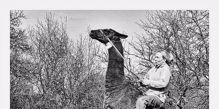 Dovádění se zvířátky v ZOO koutku u Nováčků