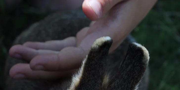 Dovádění se zvířátky v ZOO koutku u Nováčků