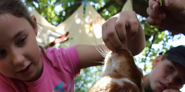 Dovádění se zvířátky v ZOO koutku u Nováčků