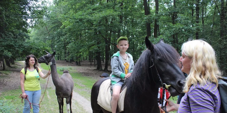 Dovádění se zvířátky v ZOO koutku u Nováčků