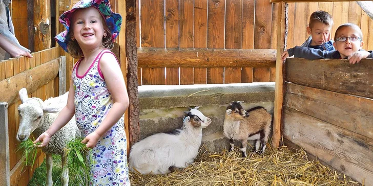 Celodenní vstupenky do minizoo uprostřed pohádkové říše
