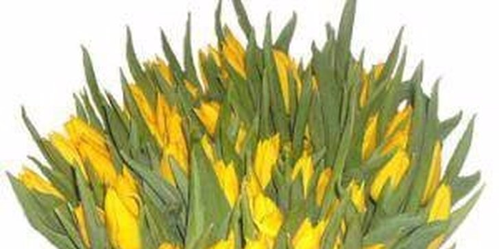 Nádherný pugét ze žlutých růží nebo kytice z barevných tulipánů