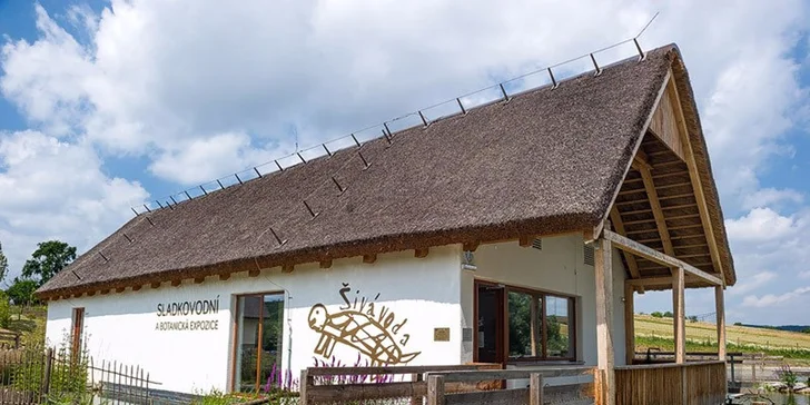 Vodní svět na dosah ruky: Vstupenky na expozici Živá voda s podvodním tunelem
