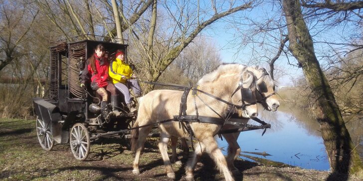 Objevte zvířátka Zooparku Zelčín: na koloběžce či z kočáru taženého koňmi