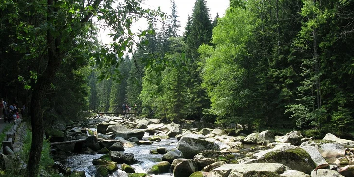 Tři dny na Šumavě pro DVA s polopenzí. Užijte si aktivní dovolenou v přírodě, komfort hotelu Zadov***+ i procházky s holemi nordic walking.