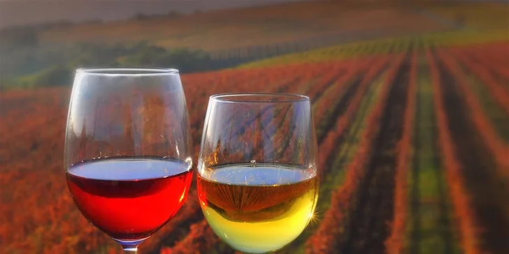 Poznávací zájezd napříč přírodou Slovinska včetně dvou nocí v hotelu