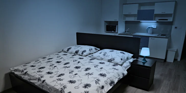 Až 8 dní v luxusním apartmá s kuchyňkou v krušnohorském podhůří