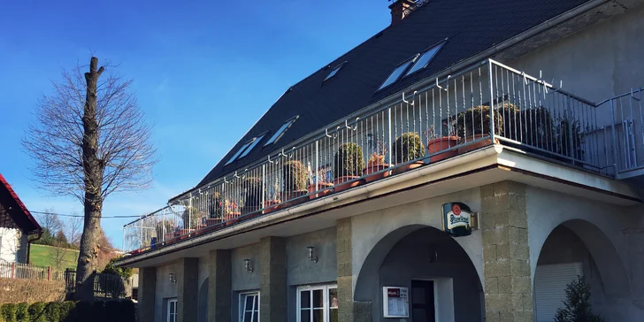 Kuřecí, vepřový či hovězí steak s omáčkou a přílohou nebo rybí menu