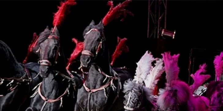 Lístky na jedinečnou cirkusovou show Berousek Original Cirkus Sultán