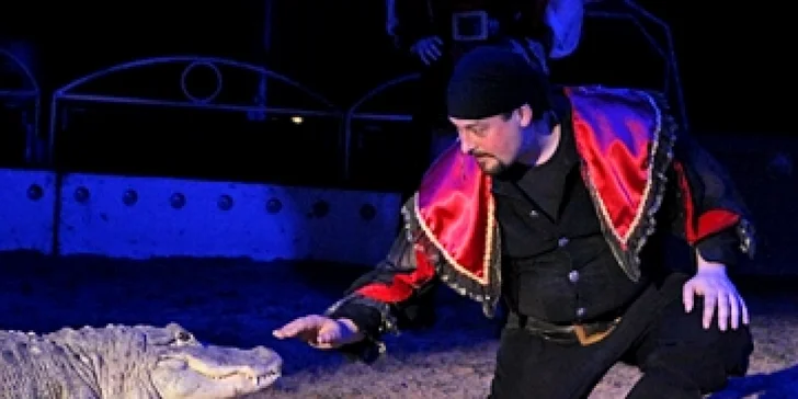 Lístky na jedinečnou cirkusovou show Berousek Original Cirkus Sultán