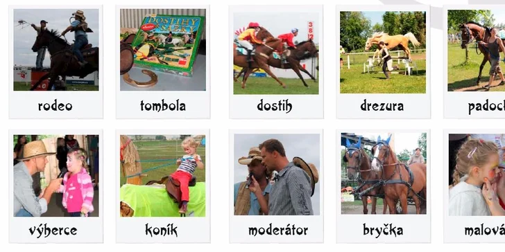 Vstupenka na nedělní zábavné odpoledne Koňské hry