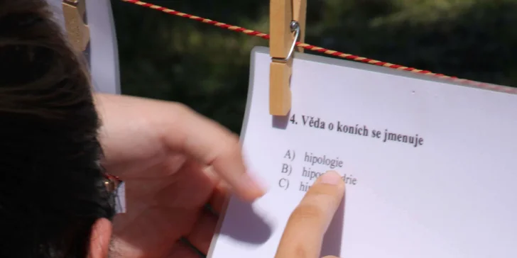 Vstupenka na nedělní zábavné odpoledne Koňské hry