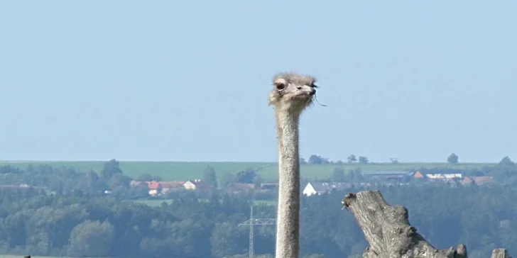 Víkendový pobyt pro dva či rodinu s piknikem a prohlídkou naučné zvířecí stezky