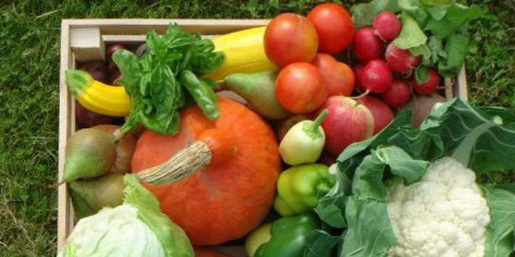 190 Kč za rodinnou bedýnku plnou ovoce a zeleniny v hodnotě 380 Kč! Bedýnky od českých farmářů s dopravou zdarma a se slevou 50 %.