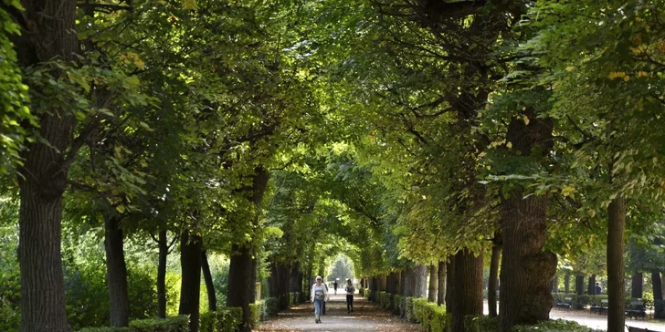 Likérka a barokní zahrady Vídně - Schönbrunn a Belvedér z Brna a Mikulova