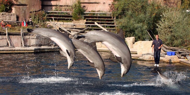Jeden den v Norimberku a v místní ZOO s delfináriem