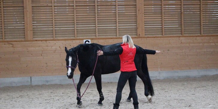 Sebepoznání za asistence koně: Celodenní seminář pro ženy