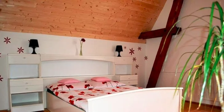 Apartmán na Valašsku: Letní prázdniny s polopenzí + zapůjčení koloběžek