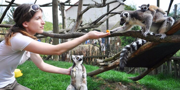 Zábava v Zooparku Zájezd: Krmení a poznávání zvířátek