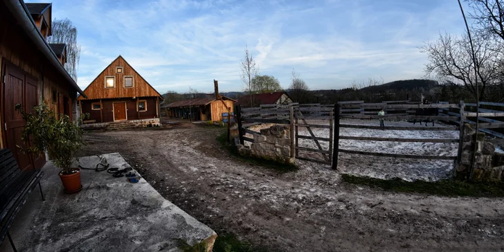 Hodinová jízda na koni pro začátečníky i zkušené jezdce