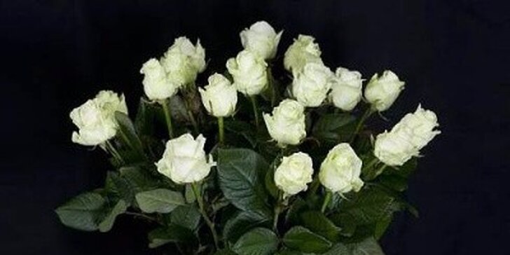 Potěšte svou lásku nebo maminku kyticí bílých růží či barevných tulipánů
