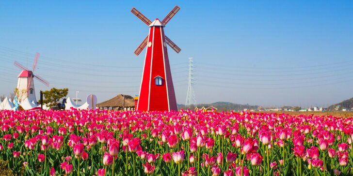 Last minute: Víkendový výlet do jarního Amsterdamu i parku Keukenhof za tulipány