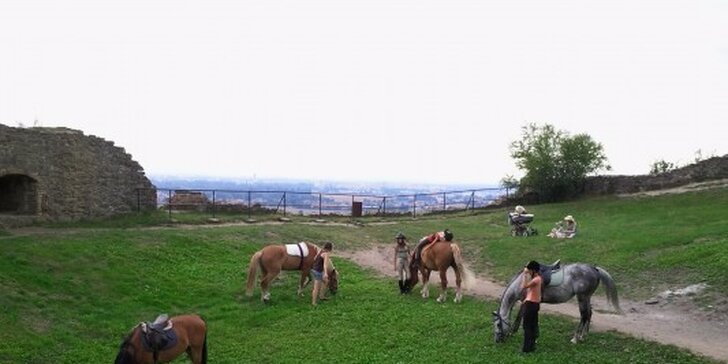 Poznávání přírody kolem Kunětické hory z koňského hřbetu: 30 či 60 minut