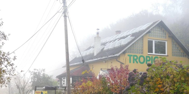 Rodinná vstupenka na prohlídku exotických rostlin a zvířat