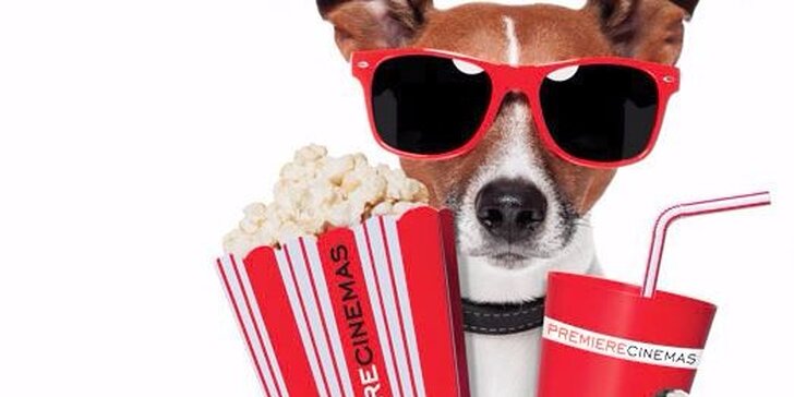 Filmový zážitek v Premiere Cinemas + popcorn a pití pro dospělé, studenty i rodinu