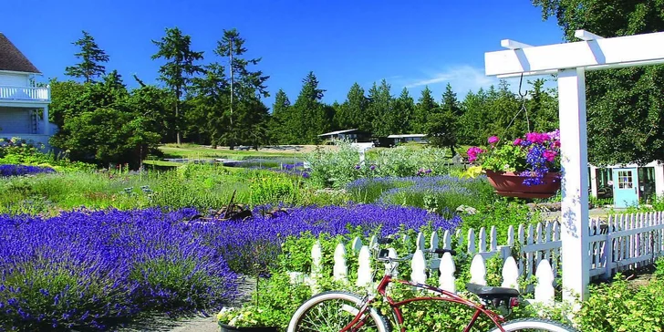 5denní zájezd do Provence s ubytováním na 2 noci se snídaní
