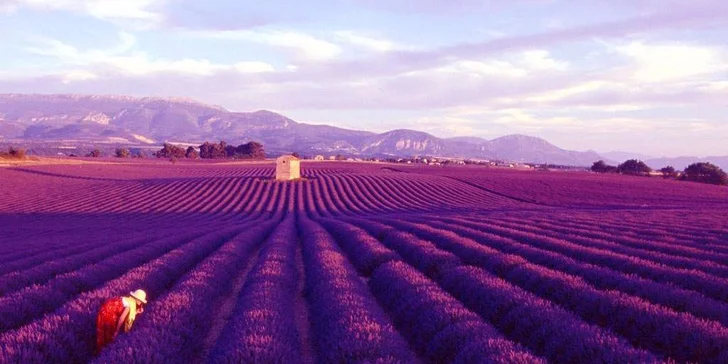5denní zájezd do Provence s ubytováním na 2 noci se snídaní