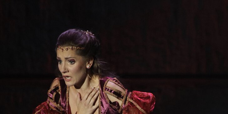 Vstupenky na slavný muzikál Romeo a Julie z pera Gérarda Presgurvice